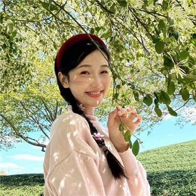 铁头